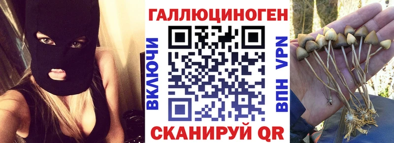 Галлюциногенные грибы Psilocybine cubensis Североуральск