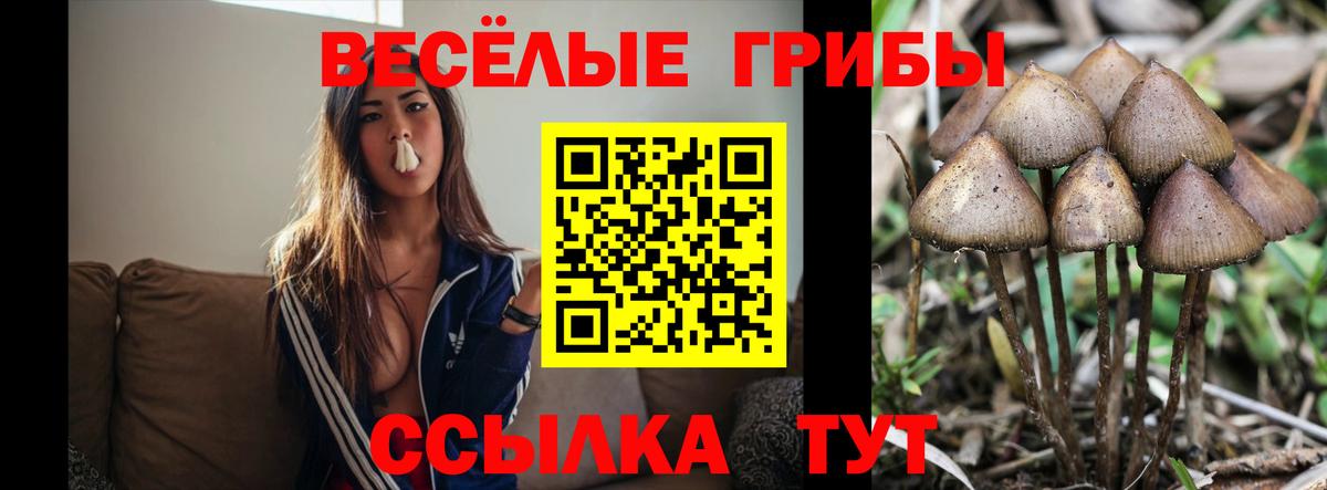 Псилоцибиновые грибы ЛСД Североуральск
